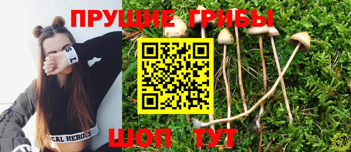 Галлюциногенные грибы ЛСД  Псилоцибиновые грибы Cubensis  Владивосток  Вход с VPN 